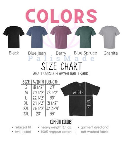 Comfort Colors® Colorado Embroidered T-Shirt, Colorado Tee, Colorado Mountain Unisex Tee