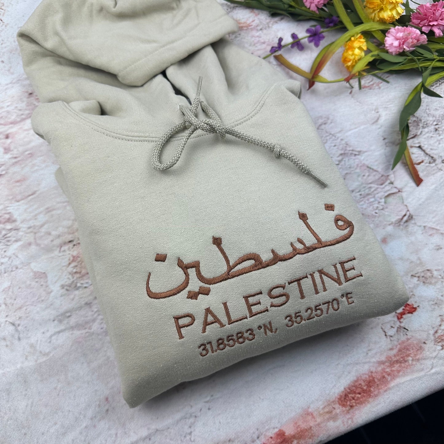 Palestine Coordinates Embroidered Hoodie