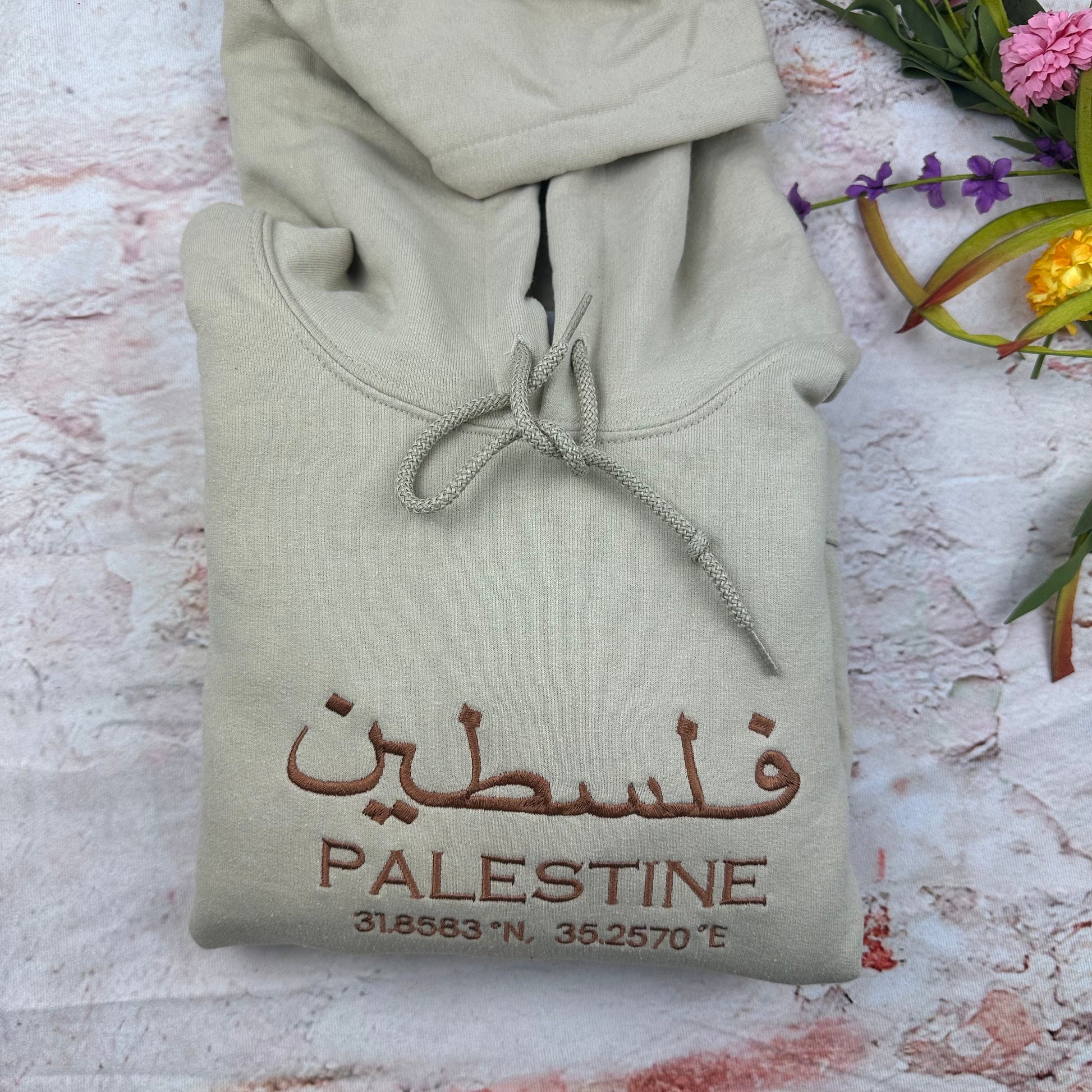 Palestine Coordinates Embroidered Hoodie