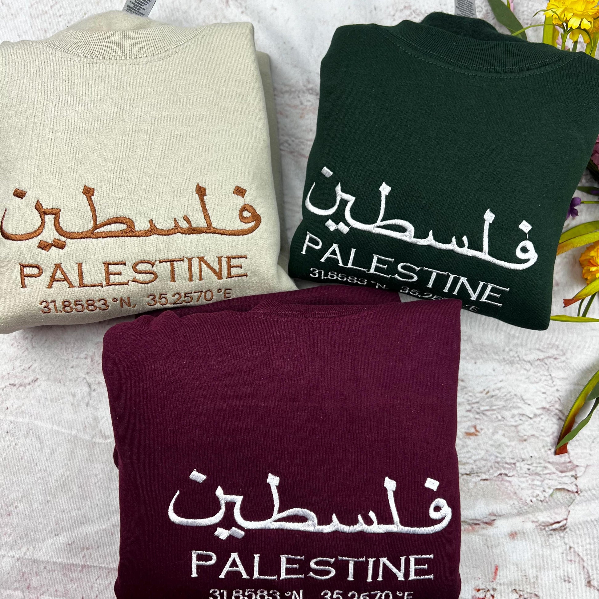 Palestine Coordinates Embroidered Sweater - Palestinian Coordinates Shirt