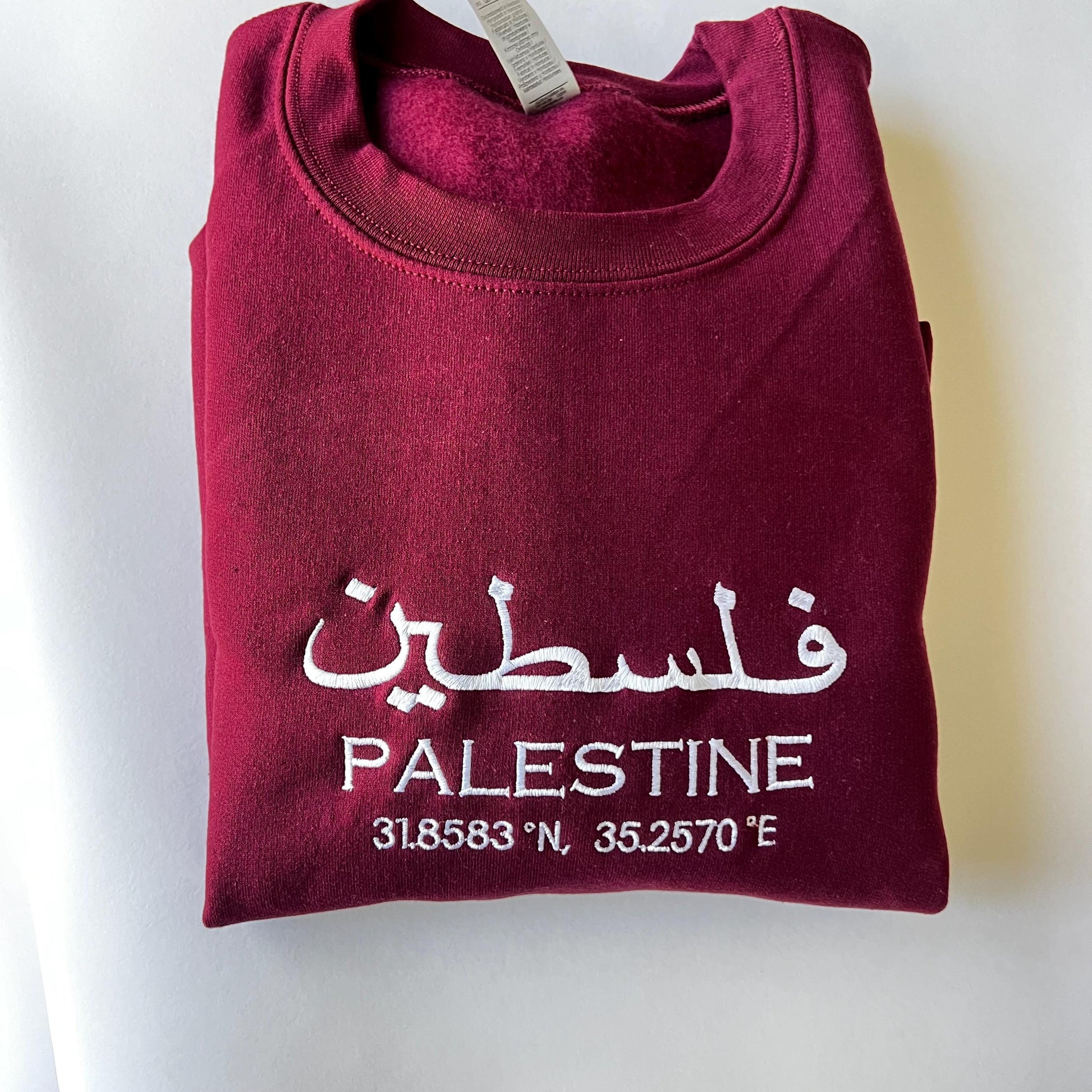 Palestine Coordinates Embroidered Sweater - Palestinian Coordinates Shirt