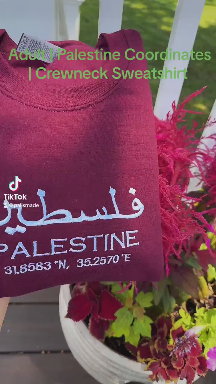 Palestine Coordinates Embroidered Sweater - Palestinian Coordinates Shirt
