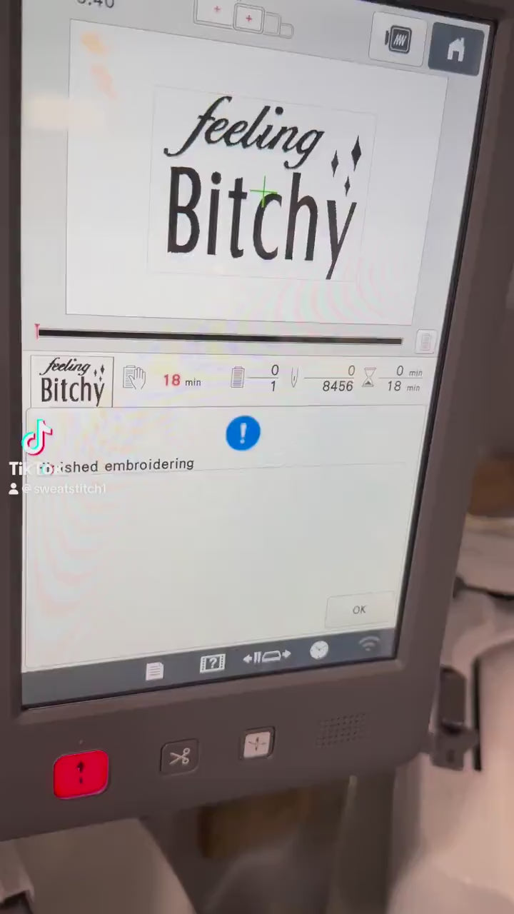 Feeling Bitchy Embroidered Sweatshirt - Funny Sweatshirt